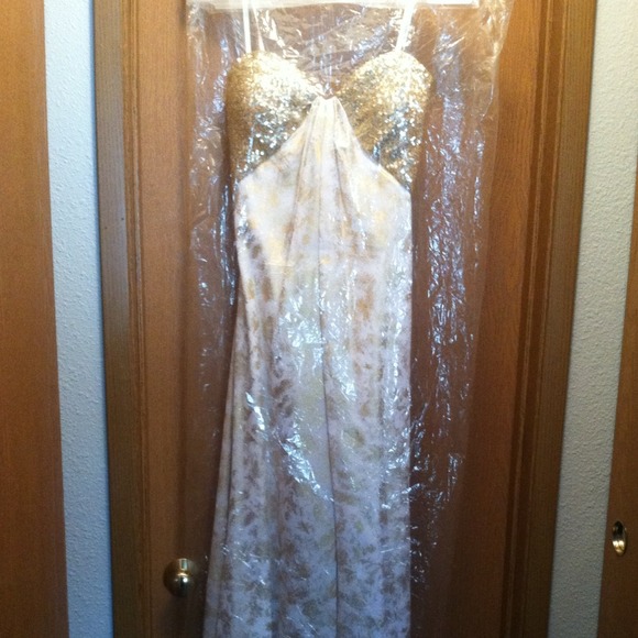 Brand NEW PROM dress...