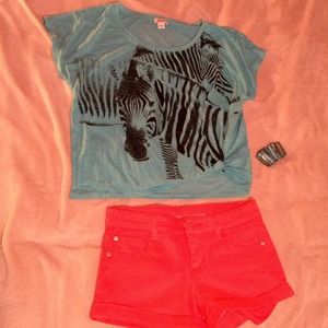 Turquoise zebra shirt