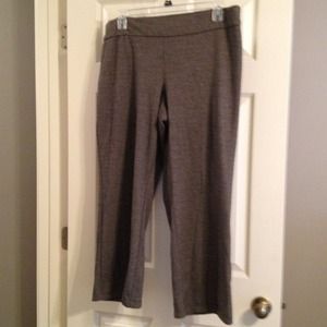 Lane Bryant dress pant petite