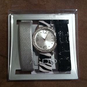 ALDO Watch Set