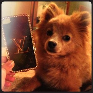 Louis Vuitton Inspired iPhone 4/4S case