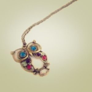 NWOT Adorable owl necklace