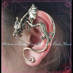 👑Dragon earrings💕