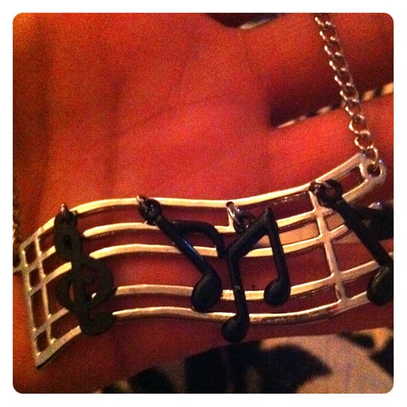 Necklace. Never worn.