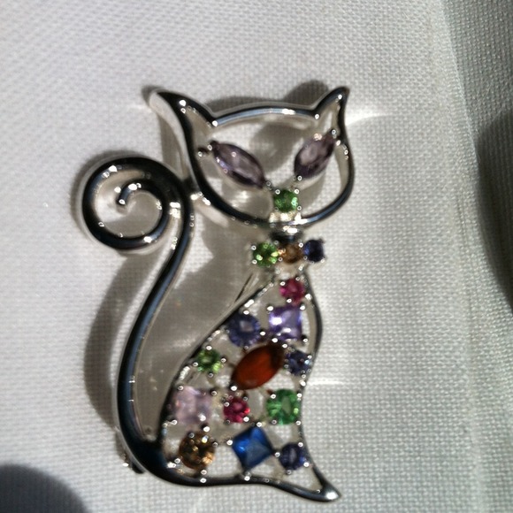 Silver and colored stone cat pin