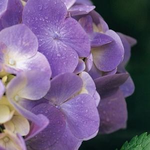 RESERVED BUNDLE for @bries