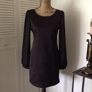 Chiffon Sleeve Mini Dress