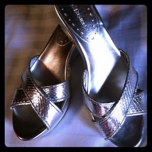 Silver wedges