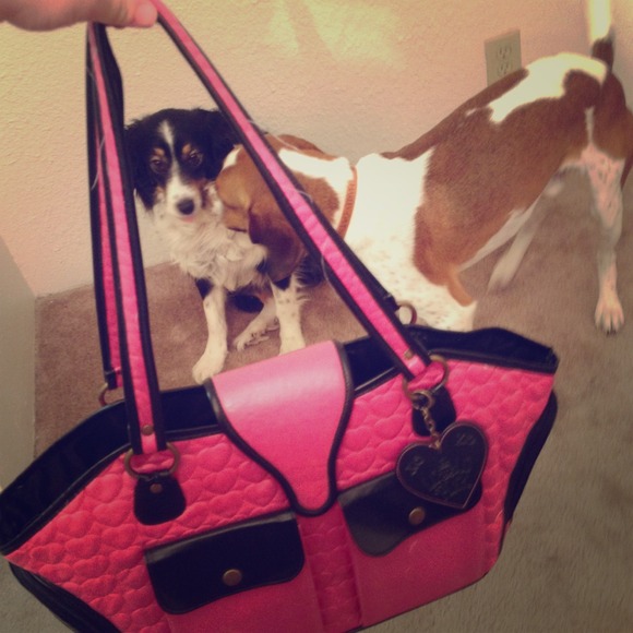 🐶Lulu Pink Dog carrier/tote thing! Adorable! 🐶