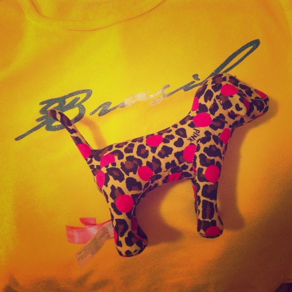 VS pink dog