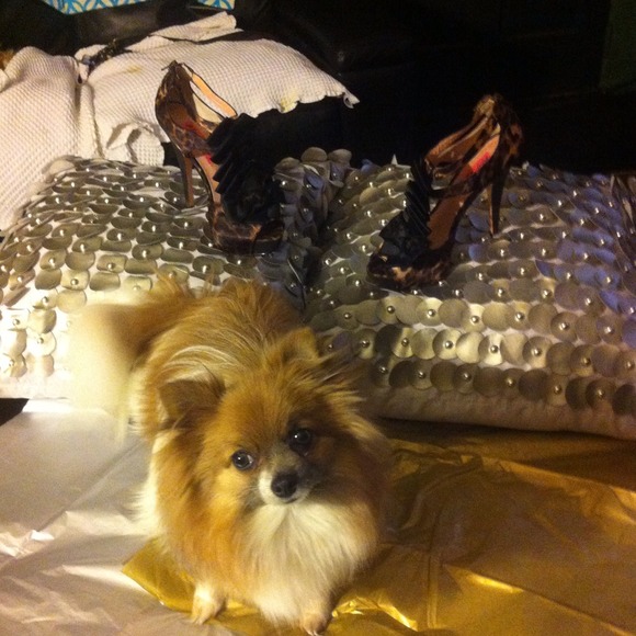 🖤Authentic BETSEY JOHNSON heels🖤 - Picture 2 of 3