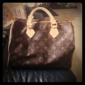 Inspired LV speedy bag