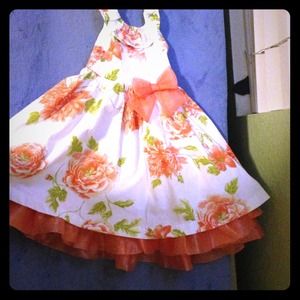 Beautiful poofy dress