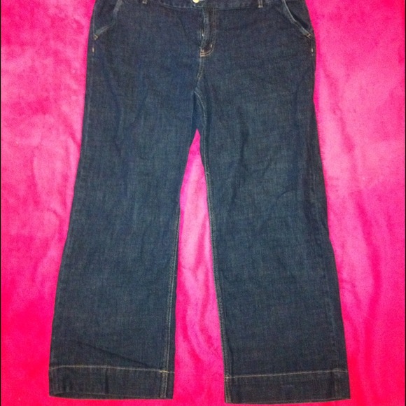 Plus Size 24R dark wash relaxed flare jeans