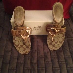 Gorgeous Coach  Sandals,  Size 10