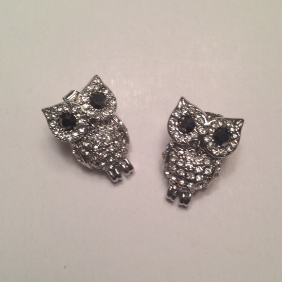 Owl Earrings
