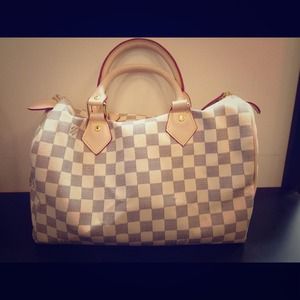 LV Speedy Handbag