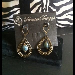 Premier Designs "Global" earrings