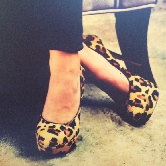 Steve Madden cheetah print, cow hair pumps 🐾