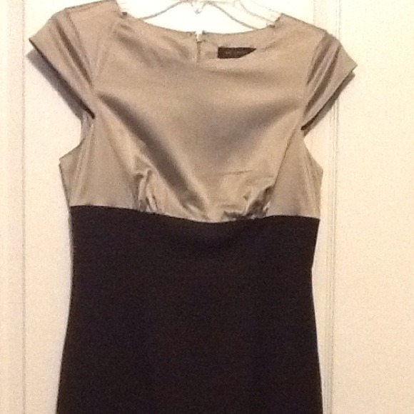 The Limited dress! Dark chocolate, taupe satin top