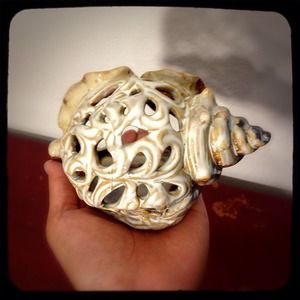Sea Shell Candle Holder Glazed Ceramic