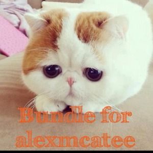 Bundle for alexmcatee
