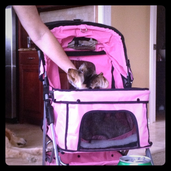 My little monkey in her stroller