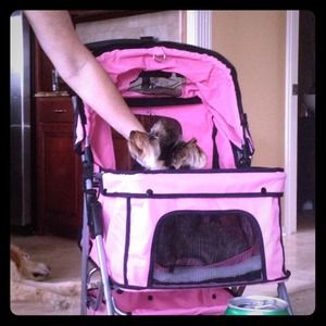 My little monkey in her stroller