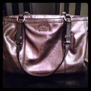 Metallic Coach purse