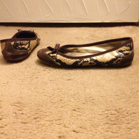 Juicy Couture Brown and Snake Ballet Flats Python - Picture 3 of 4