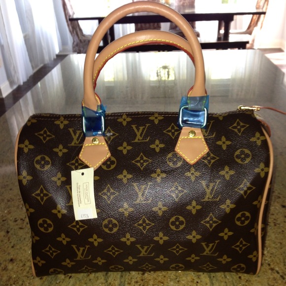 Lv speedy handbag