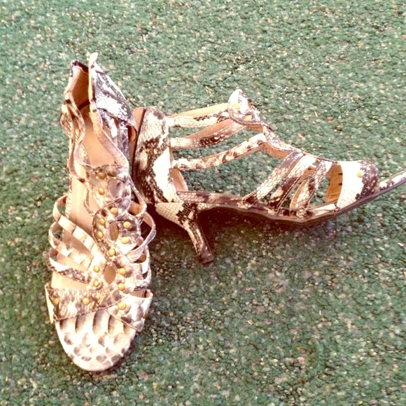 Snake design shoe
