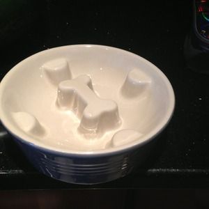 Handcrafted stoneware dog bowl!