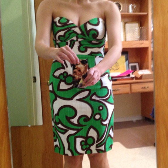 Milly Strapless Dress