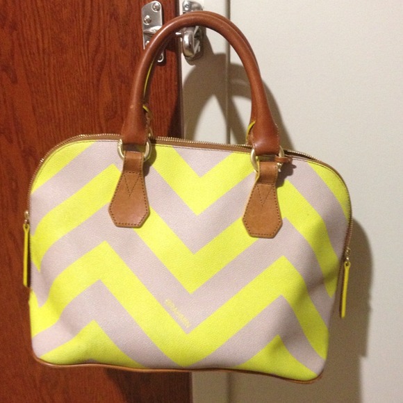 Chevron Brahmin purse