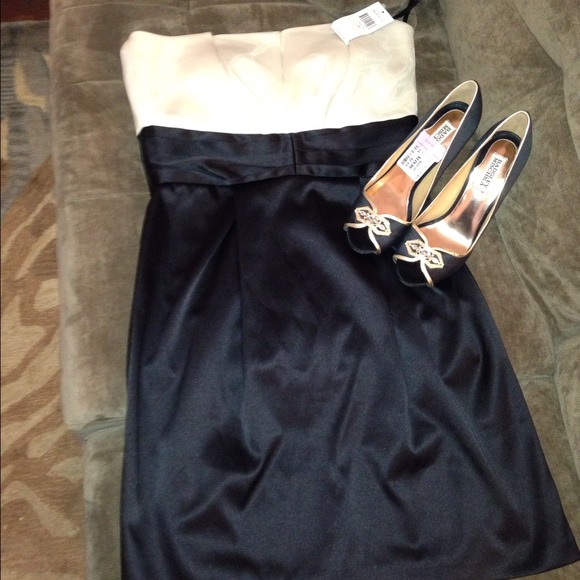Cream/Black Max &Cleo Dress, recently discounted