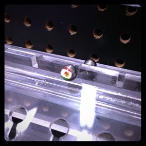 Brand new body jewelry!!!