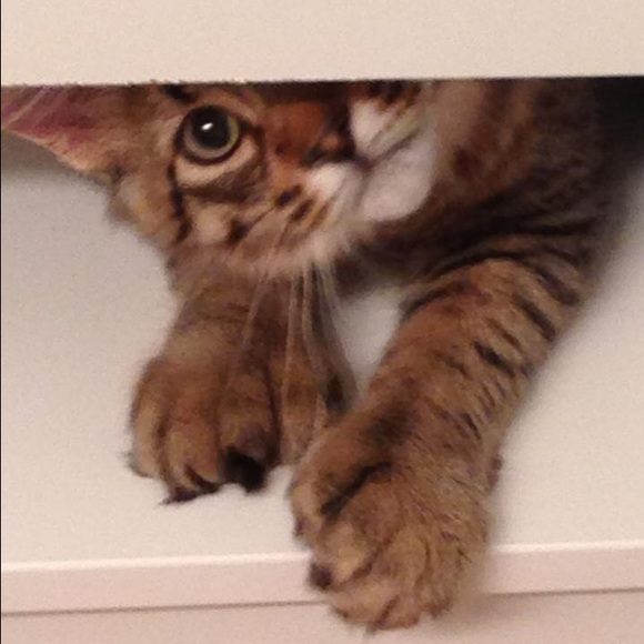 Meet Your Seller/Leave Feedback - Picture 3 of 3