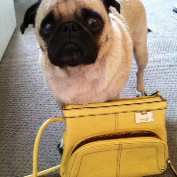 Leather Yellow Purse💛💛 - Picture 4 of 4