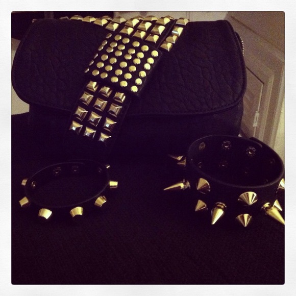 Studded Cross Body purse