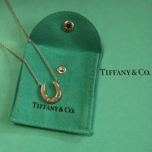 ...Tiffany & Co. Horseshoe necklace...