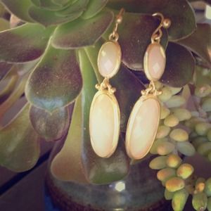 Gold and ivory cameo look earrings~new