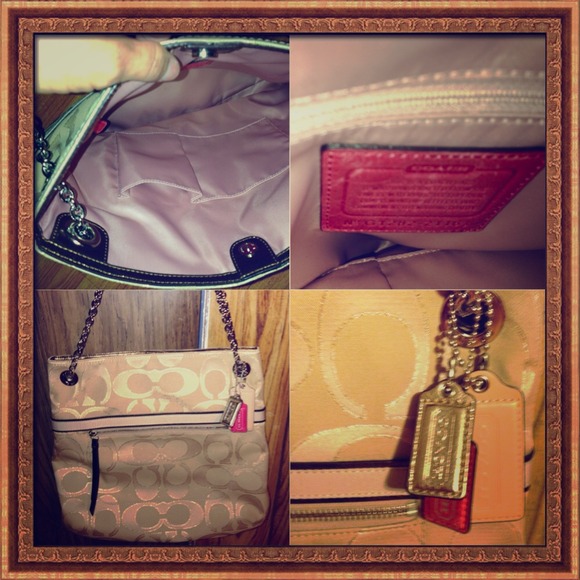 Authentic Coach purse. $100 carried twice