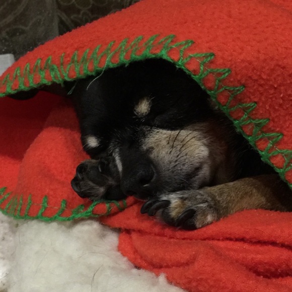 This little light of mine passed early morn, January 31, 2022 at 1:52am.😭😇 - Picture 5 of 6