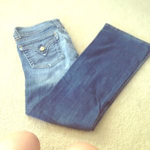Authentic Hudson Jeans