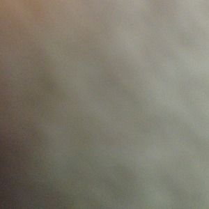 Men's Steve Madden boots