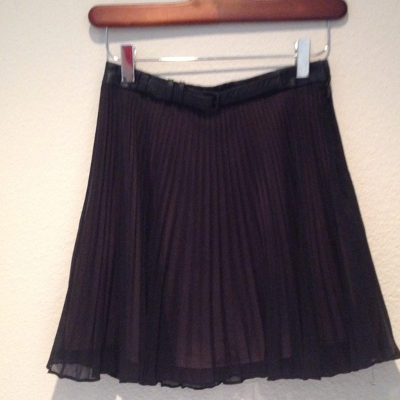 Pretty Sheer Pleated Skirt with Pink lining
