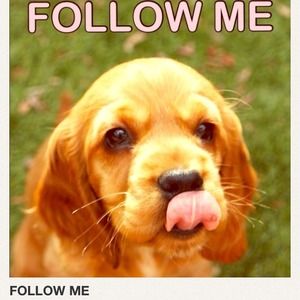 Follow me