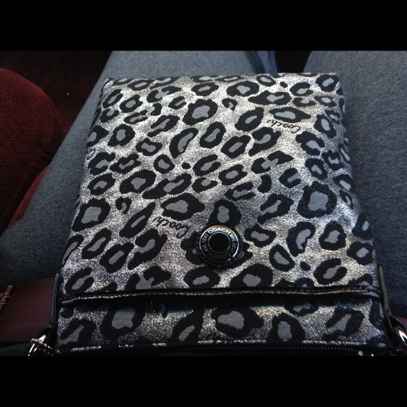 Cheetah coach