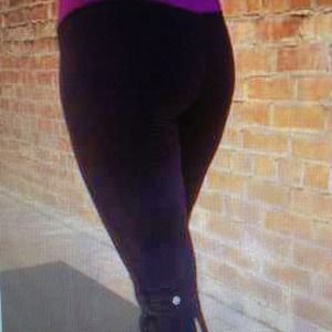 Lulu gather and crow 6